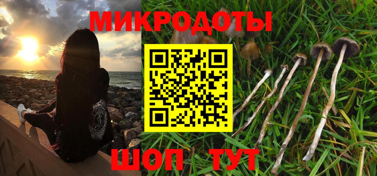 Городец  Галлюциногенные грибы Cubensis  Вход с VPN  Псилоцибиновые грибы Psilocybe 